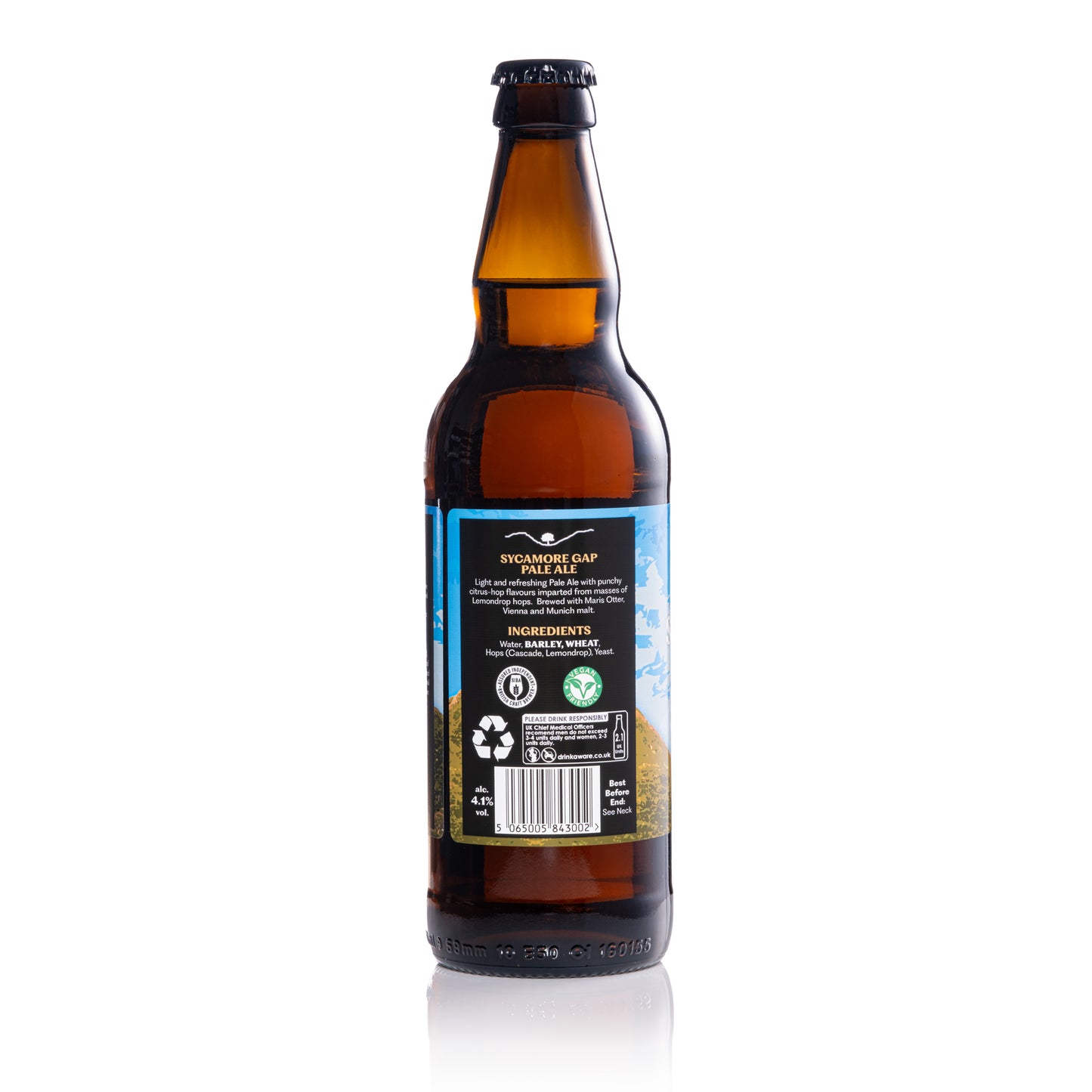 Sycamore Gap, Pale Ale, 4.1% - 12x 500ml Bottle