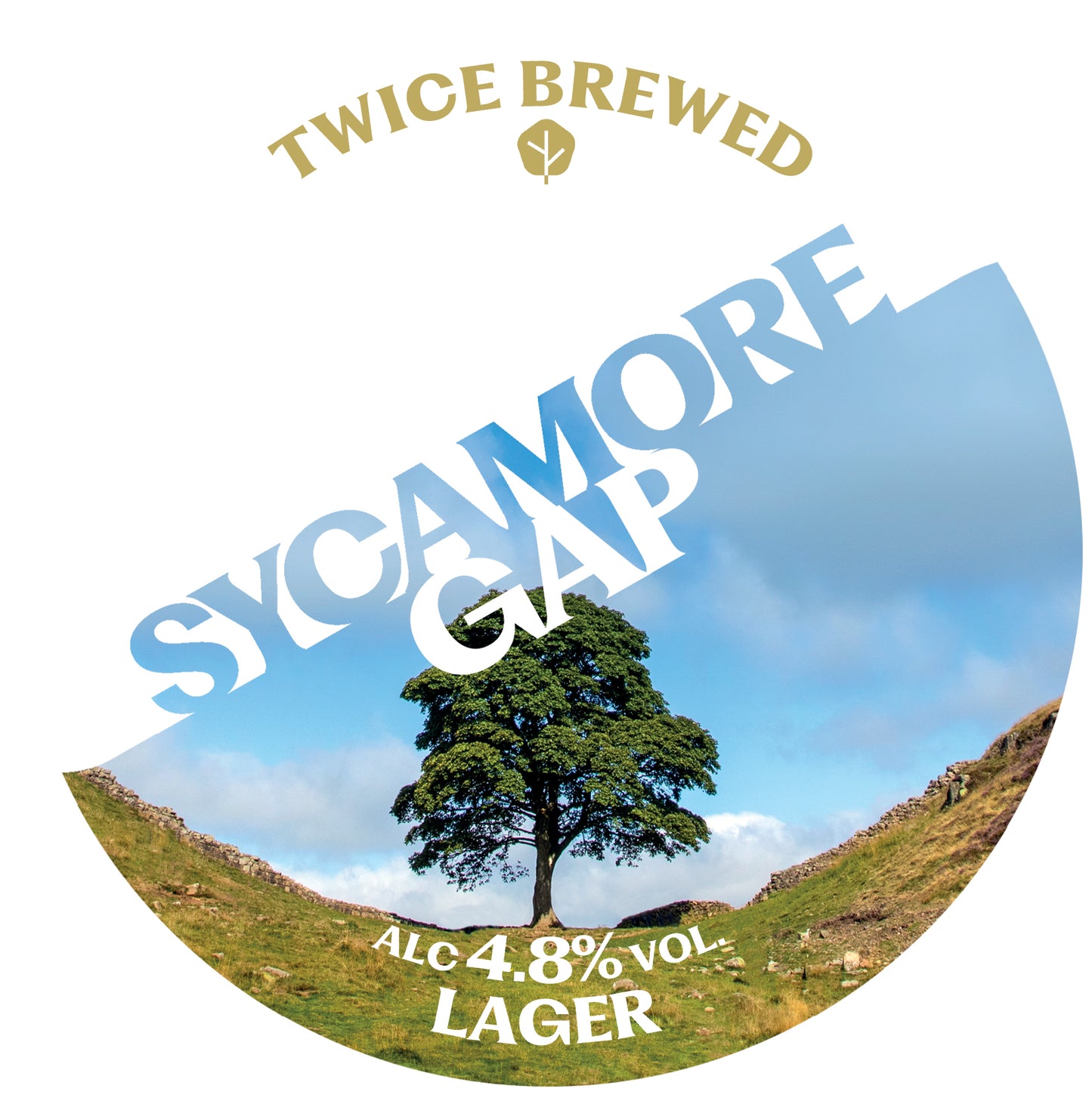 Sycamore Gap Lager (GF), Euro Pils, 4.8% - 440ml can