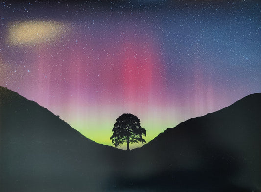 Sycamore Gap Aurora Print