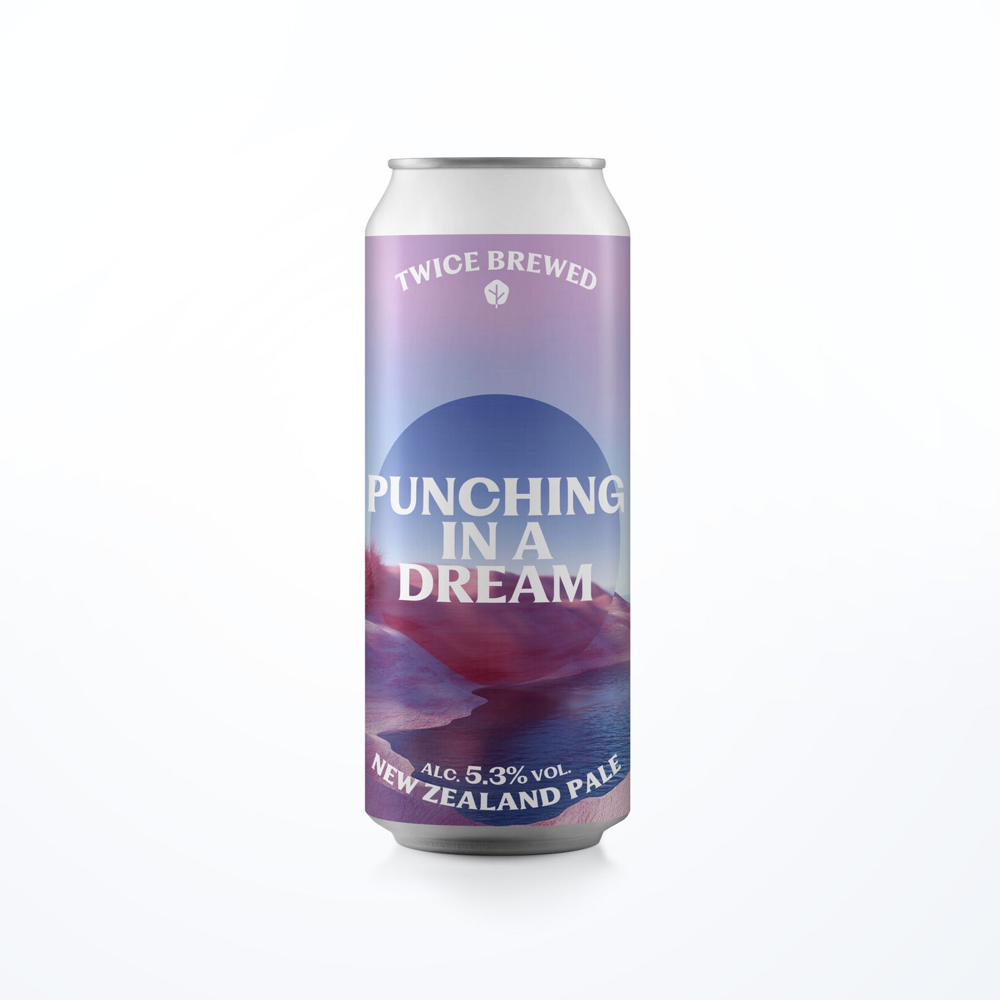 Punching In A Dream, New Zealand Pale, 5.3% - 440ml Can
