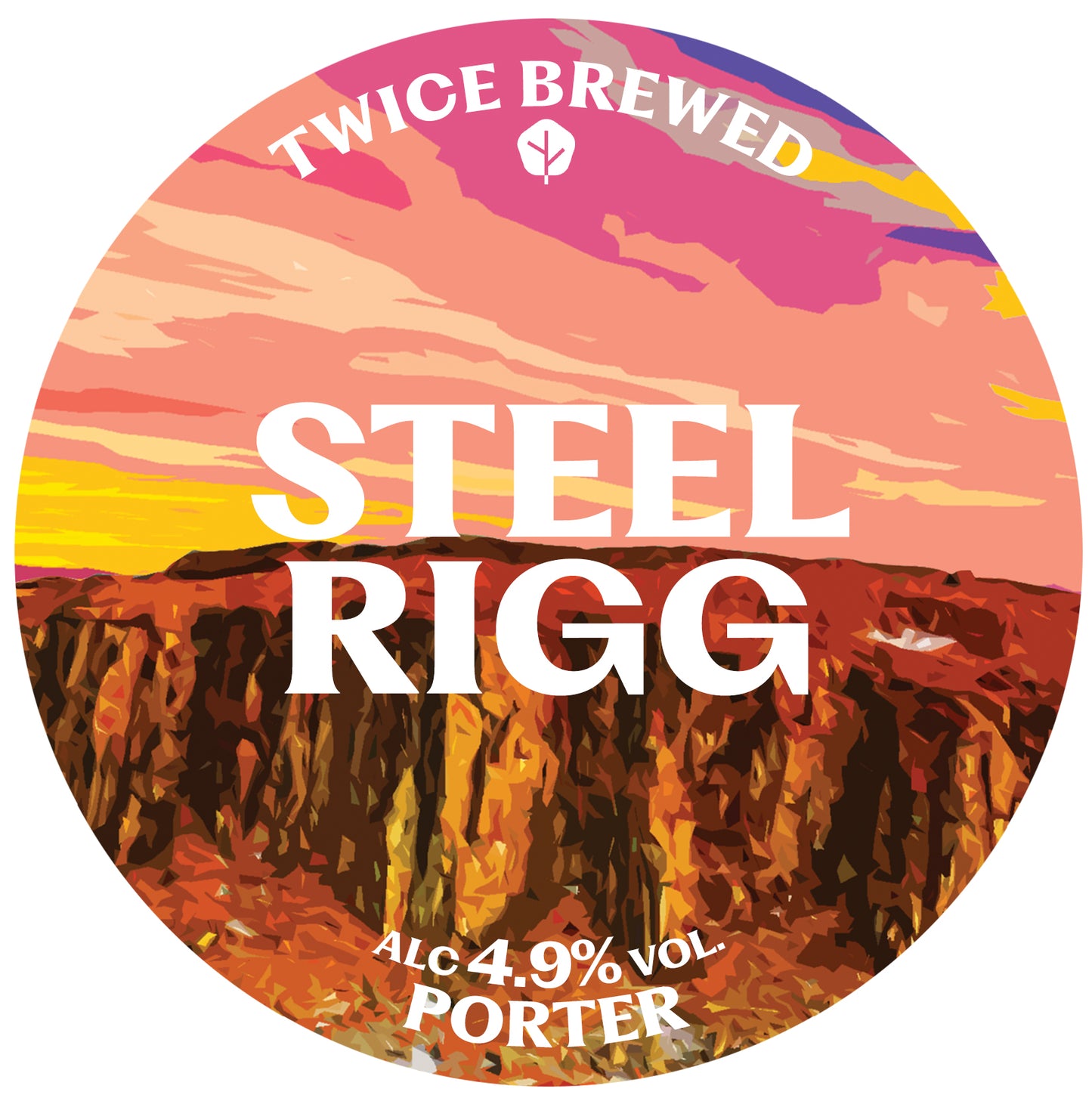 STEEL RIGG, Porter, 4.9%  - 500ml bottle